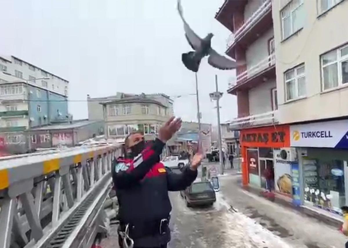 Ağa&ccedil;ta asılı kalan g&uuml;vercini itfaiyeciler kurtardı