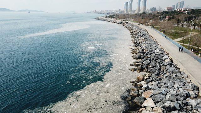 Pendik ve Kartal sahilindeki kirliliğin sırrı çözüldü