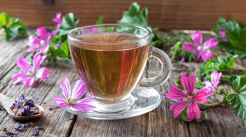 Adaçayı ve ebegümeci çayı nasıl yapılır? Adaçayı ve ebegümeci virüse karşı etkili mi? Saraçoğlu açıkladı