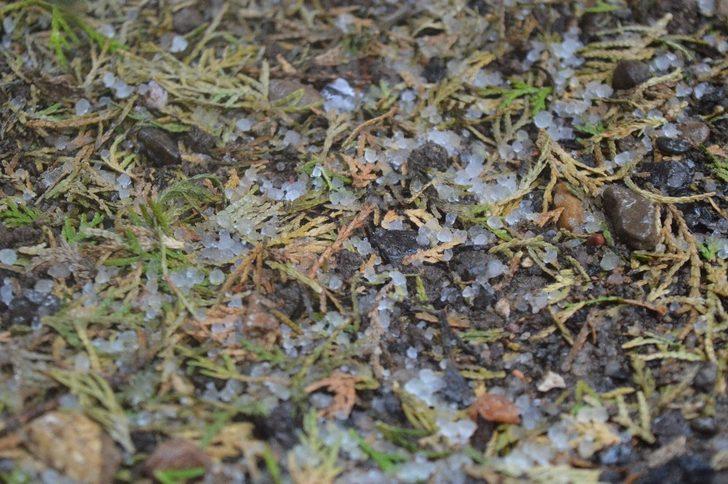 Eskişehir’e dolu yağdı G1