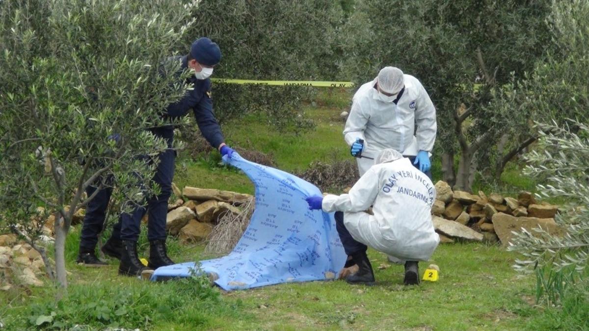 Ağabey kardeş arasındaki ağa&ccedil; kavgasında kan aktı