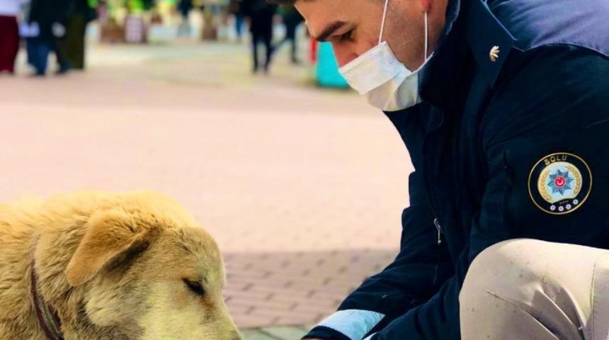 polisler sokak hayvanlarını elleriyle besledi