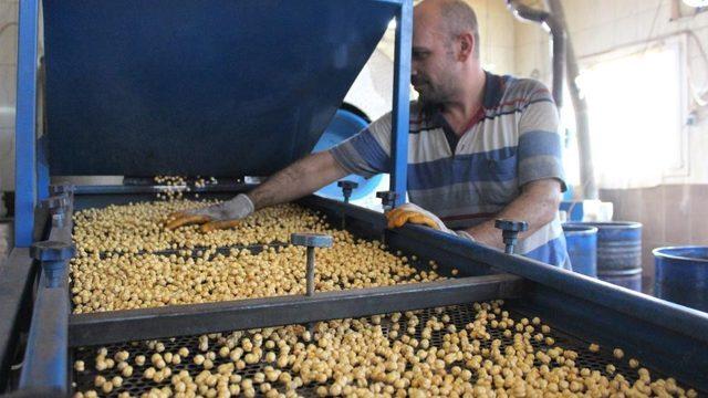 Denizli’de leblebi ve kuruyemişçiler için yeni karar
