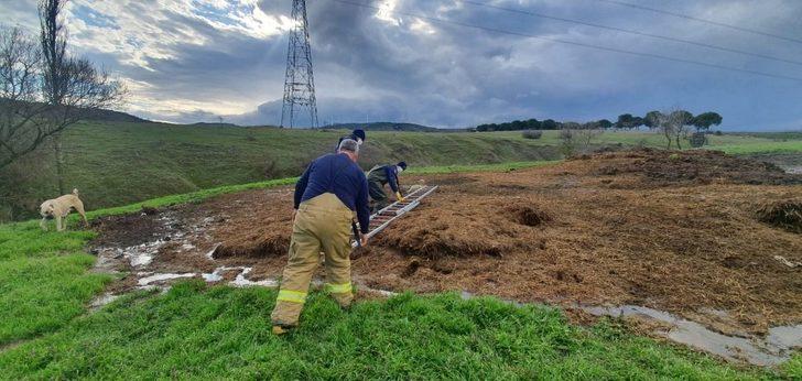 Gübre yığınına batan koyunu itfaiye kurtardı G3