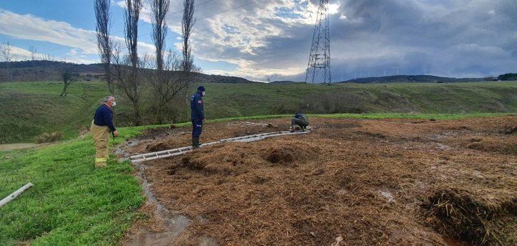 Gübre yığınına batan koyunu itfaiye kurtardı G4