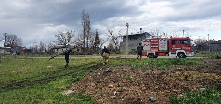 Gübre yığınına batan koyunu itfaiye kurtardı G5
