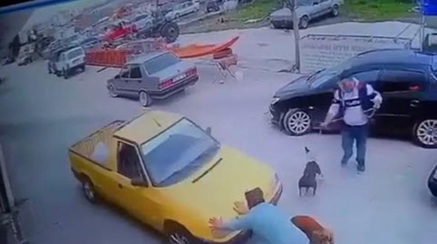 El freni çekilmeyen kamyonet, köpekle oynayan genci eziyordu