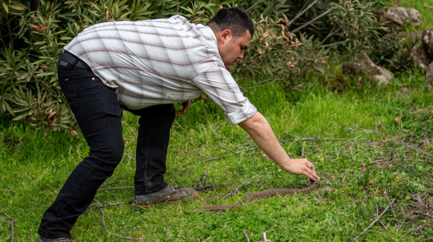 Herkes korkup, iğreniyor! 14 yıldır bu işi bedavaya yapıyor