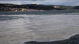 Denizi kaplayan 'müsilaj', balıkçının kabusu oldu