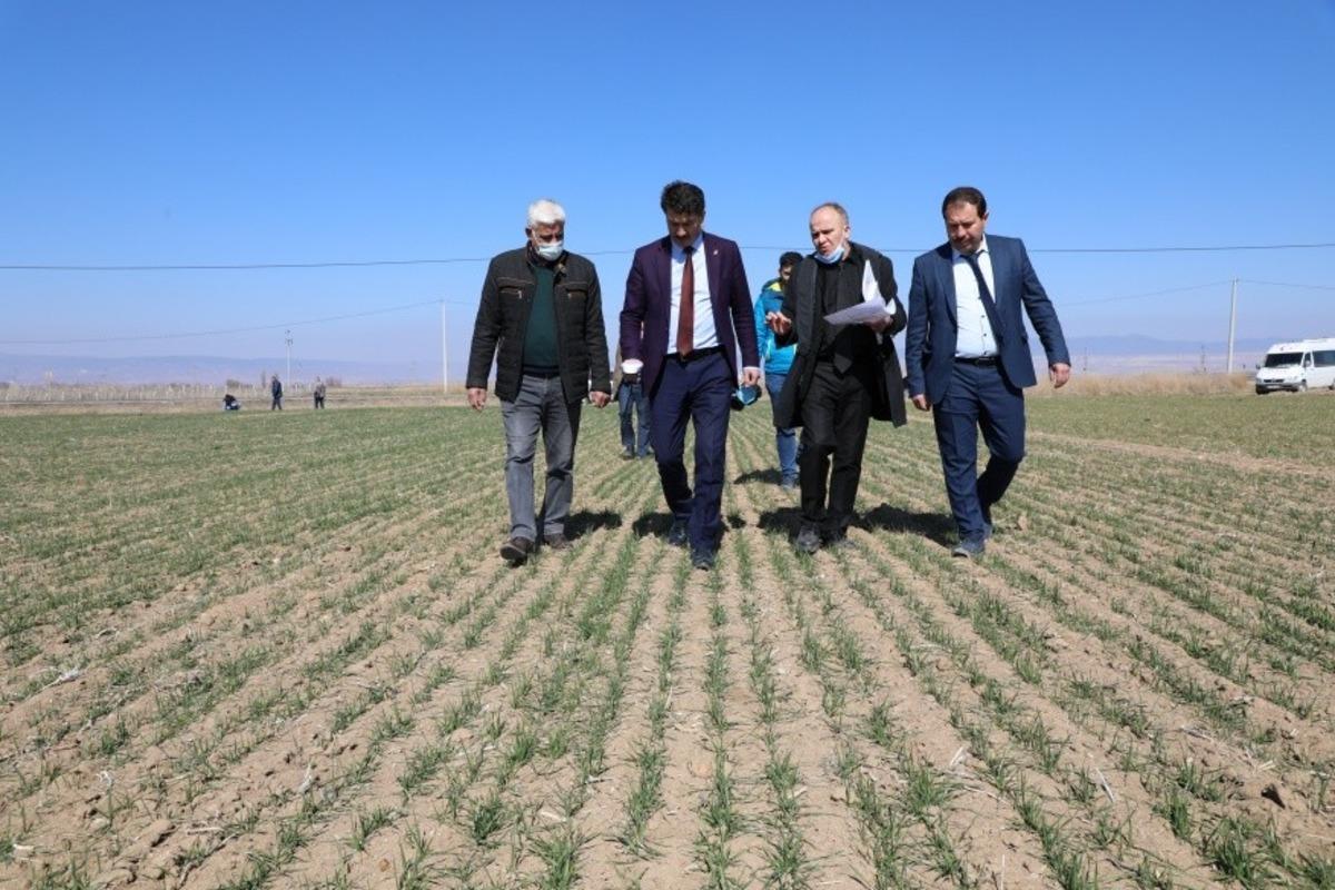 Eskişehir&rsquo;de 20 &ccedil;eşit yerli ve milli tohum deneme &ccedil;alışması