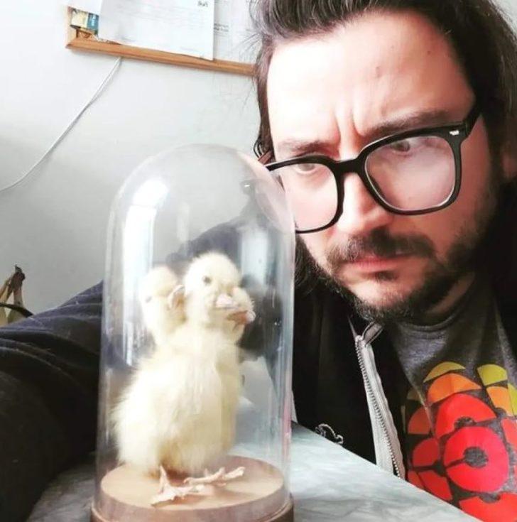 Kanada'da Çin'den gönderilen kargodan çıkan şey şaşırttı! G2