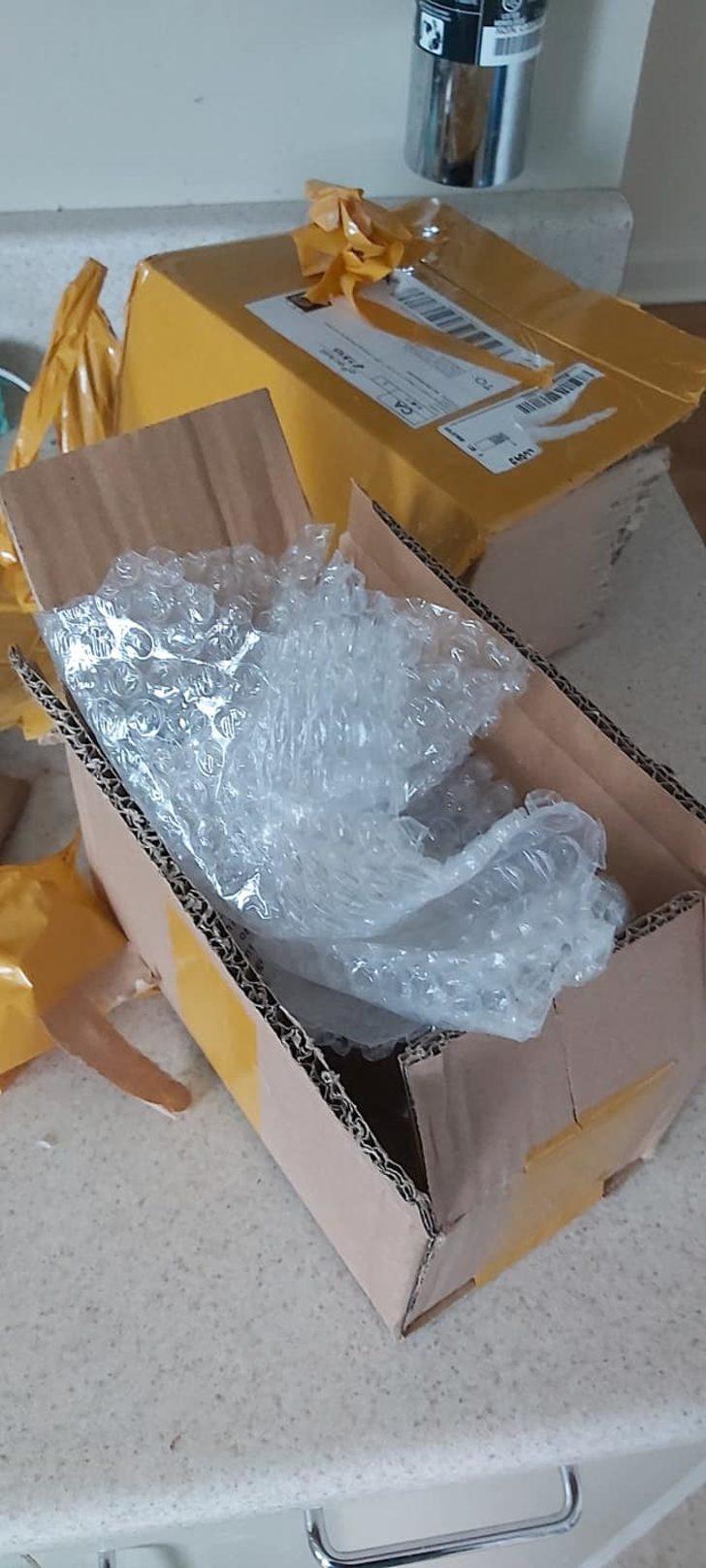 Kanada'da Çin'den gönderilen kargodan çıkan şey şaşırttı! G3