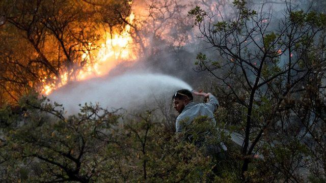 Meksika’da korkutan orman yangını: 400 kişi tahliye edildi