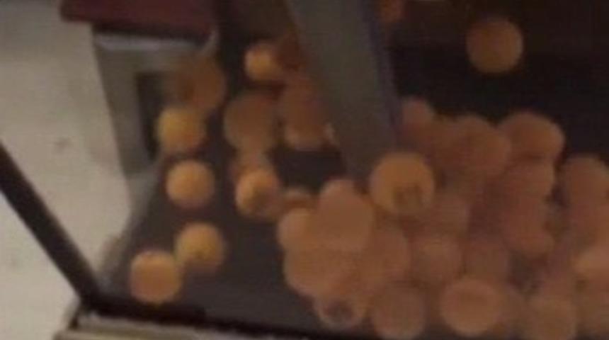 Kumar oynarken basıldılar, saman balyasının arkasına saklandılar