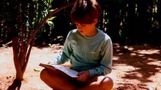 Acıyı keşfeden küçük bir çocuğun öyküsünü anlatan Şeker Portakalı’ndan büyüklere özel hayat dersi niteliğindeki nasihatlar