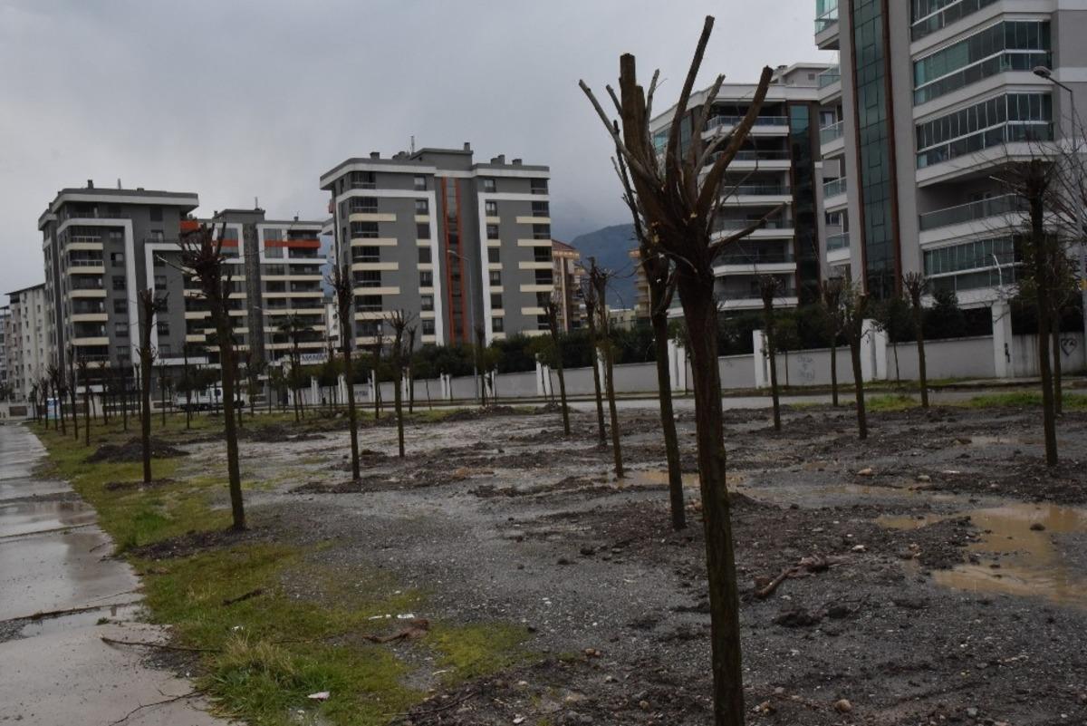 Yunusemre&rsquo;de y&uuml;zbinlerce fidan toprakla buluştu