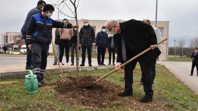 Kurupelit Yerleşkesi ıhlamurlarla daha da yeşillenecek