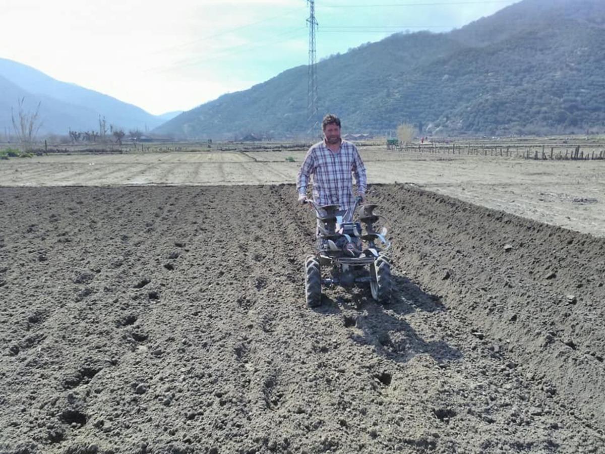 Kapıdağ&rsquo;da mor soğan dikimi başladı