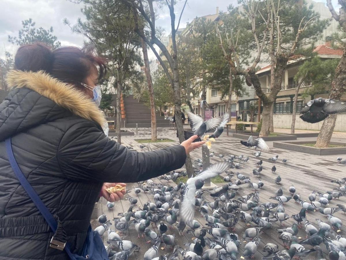 Hayvan sevgisi bu olsa gerek