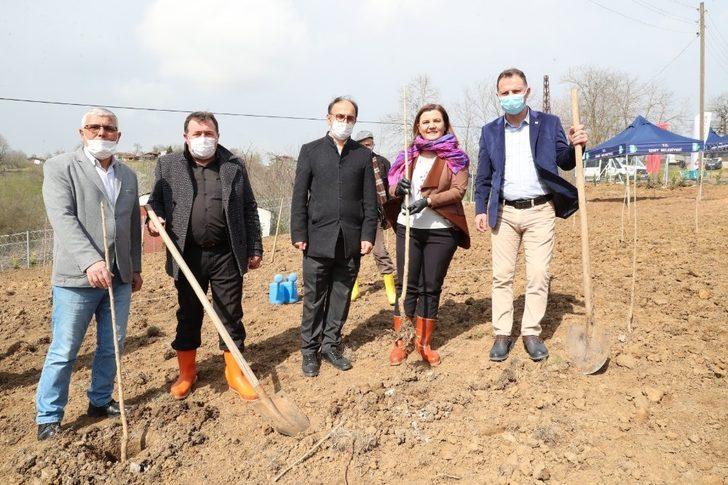 İpek böcekçiliğini başlatacak fidanlar toprakla buluştu G2