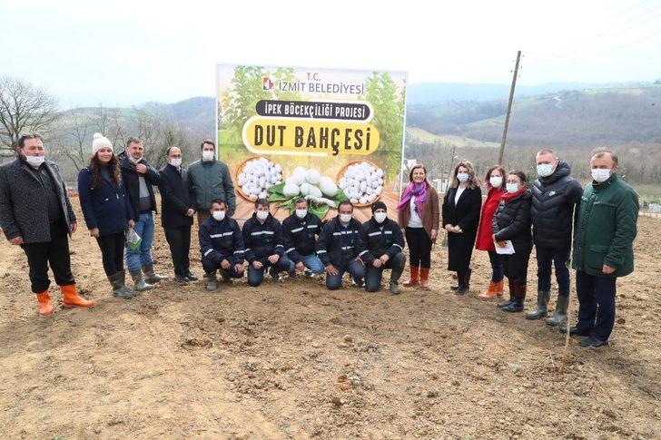 İpek böcekçiliğini başlatacak fidanlar toprakla buluştu G3