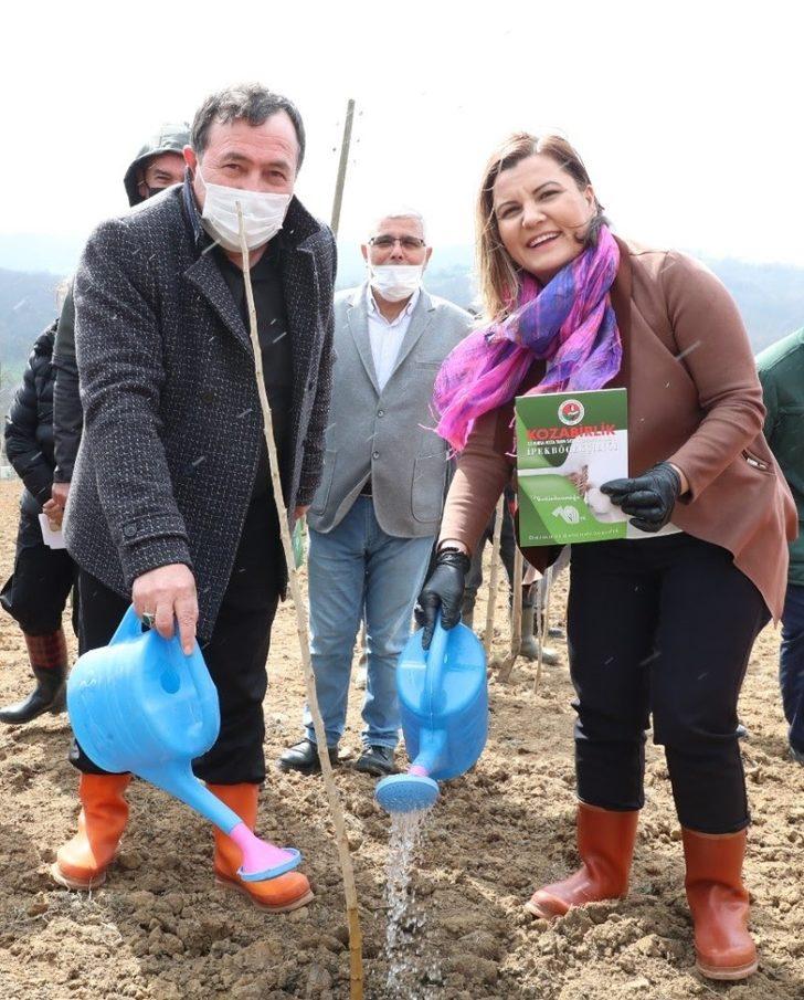 İpek böcekçiliğini başlatacak fidanlar toprakla buluştu G4