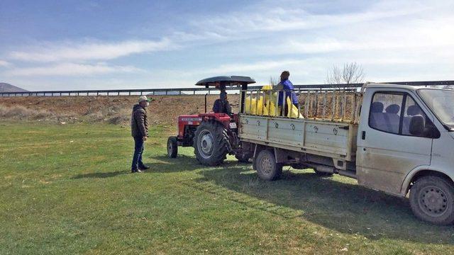 36 yerleşimde 50 bin dekar mera ıslah edildi