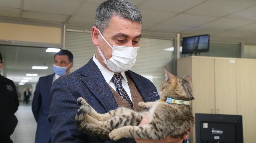 Leo, G&ouml;lbaşı Belediyesi&rsquo;nin Maskotu oldu