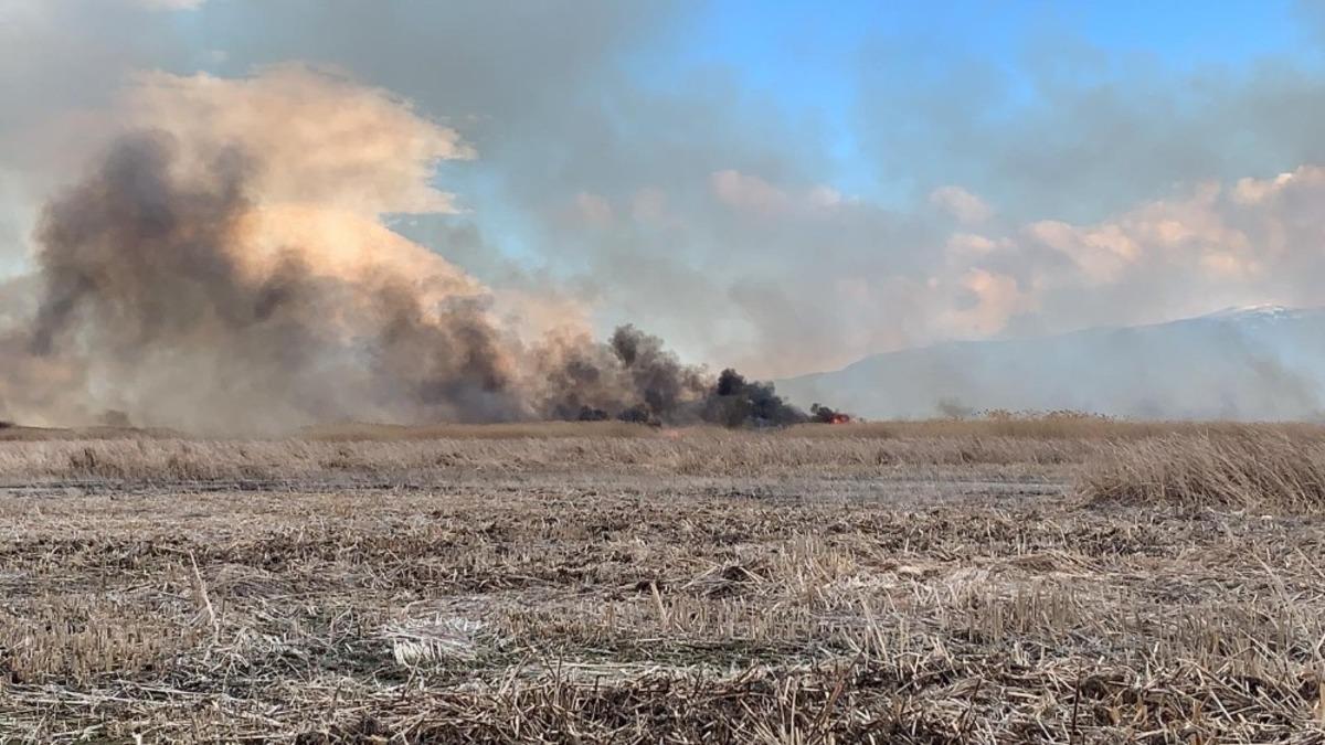 Eber G&ouml;l&uuml;&rsquo;nde yangın &ccedil;ıktı