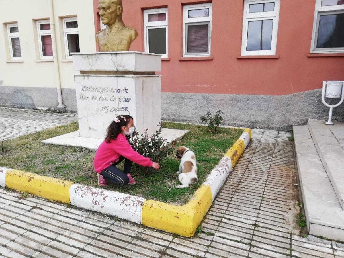 YİBO &ouml;ğrencileri sahiplendikleri sokak k&ouml;peğine okul bah&ccedil;esinde bakacaklar