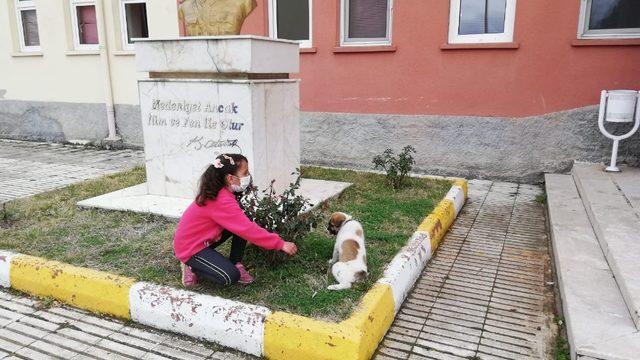 YİBO öğrencileri sahiplendikleri sokak köpeğine okul bahçesinde bakacaklar