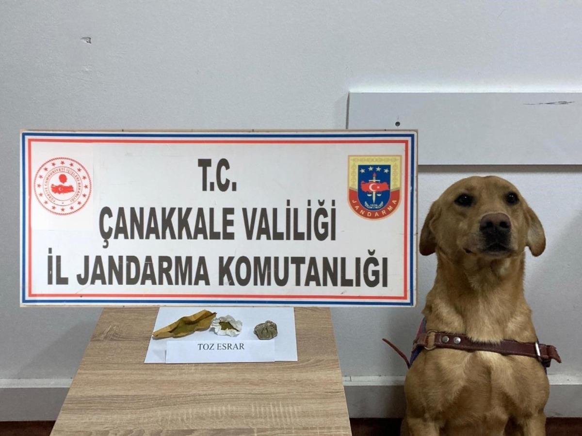 &Ccedil;anakkale&rsquo;de uyuşturucu operasyonu: 5 g&ouml;zaltı