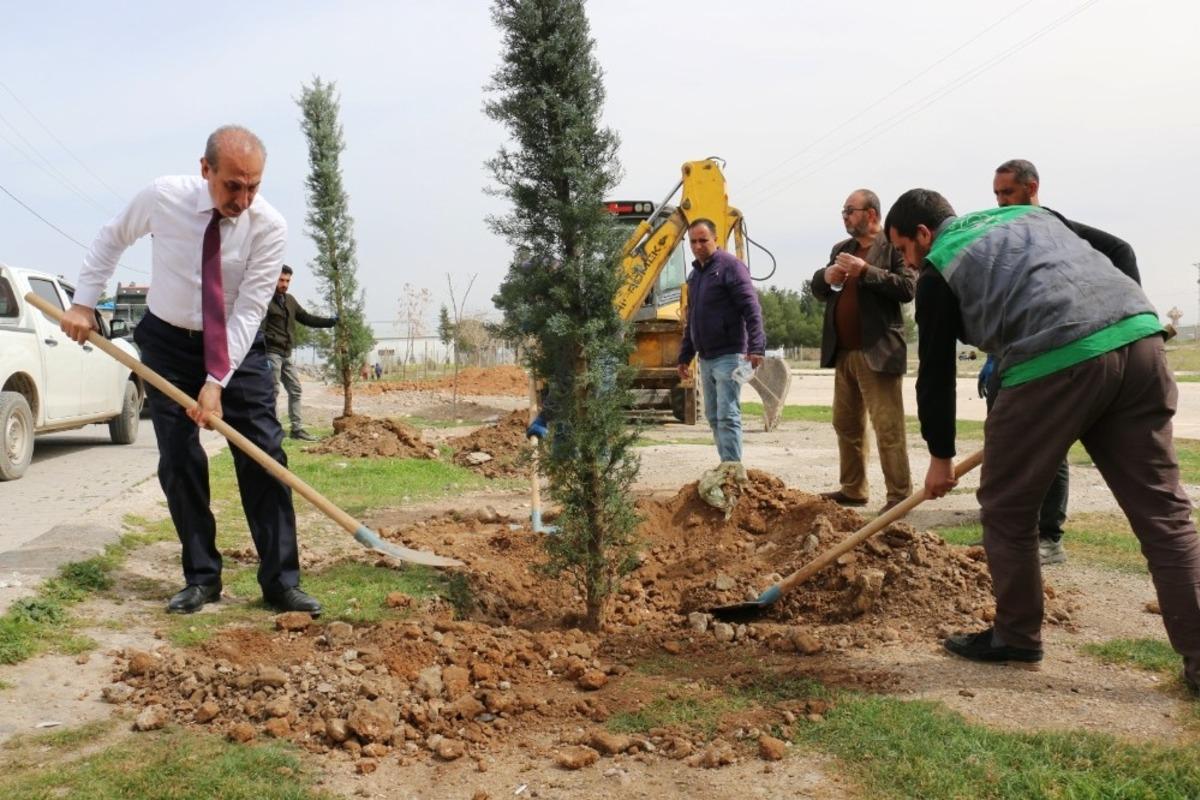 Sınırın sıfır noktasında estetik g&ouml;r&uuml;n&uuml;m