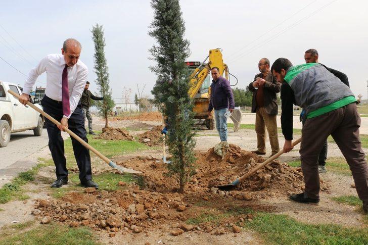 Sınırın sıfır noktasında estetik görünüm G1