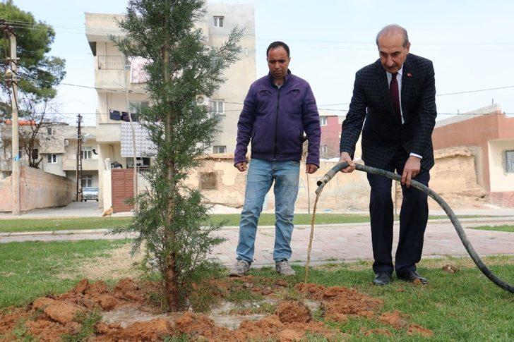 Sınırın sıfır noktasında estetik görünüm G2