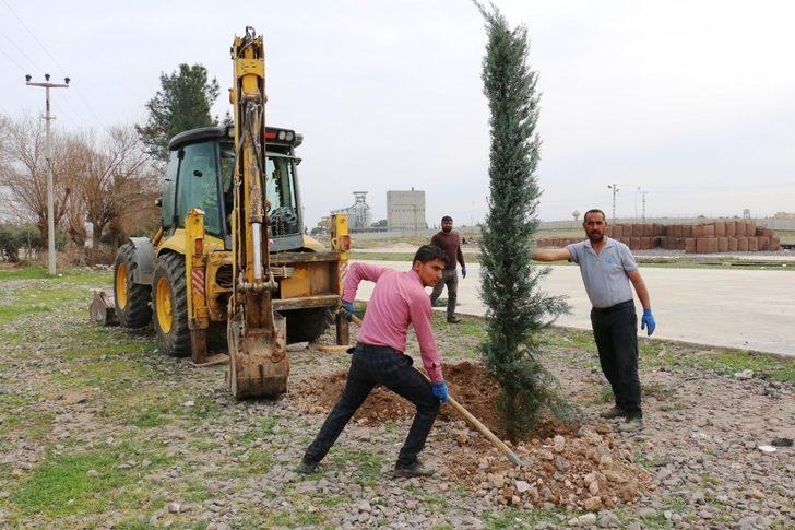 Sınırın sıfır noktasında estetik görünüm G3