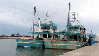 Karadeniz’de hamsi azaldı, ‘çaça’ balığı avı başladı