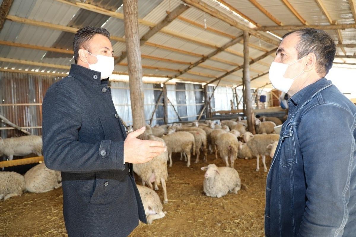 T&uuml;rkiye&rsquo;ye &ouml;rnek olacak projede sona gelindi