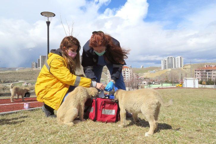 Çankaya aşılama ekibi sahada G1