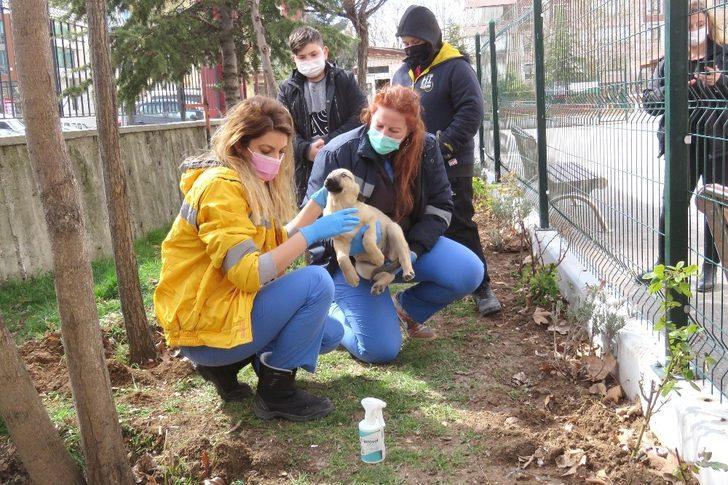 Çankaya aşılama ekibi sahada G3