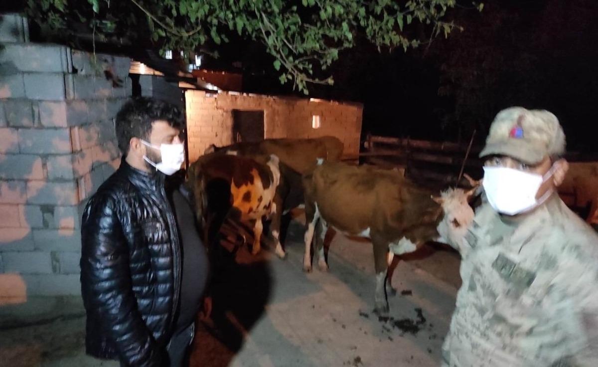 Hayvan hırsızları JASAT&rsquo;tan ka&ccedil;amadı