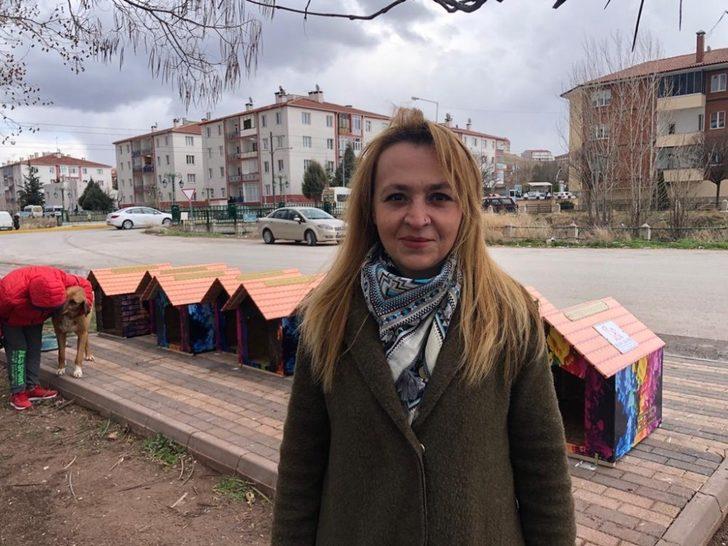 Nasreddin Hoca Parkı’na sokak hayvanları için yeni kulübeler yerleştirildi G1