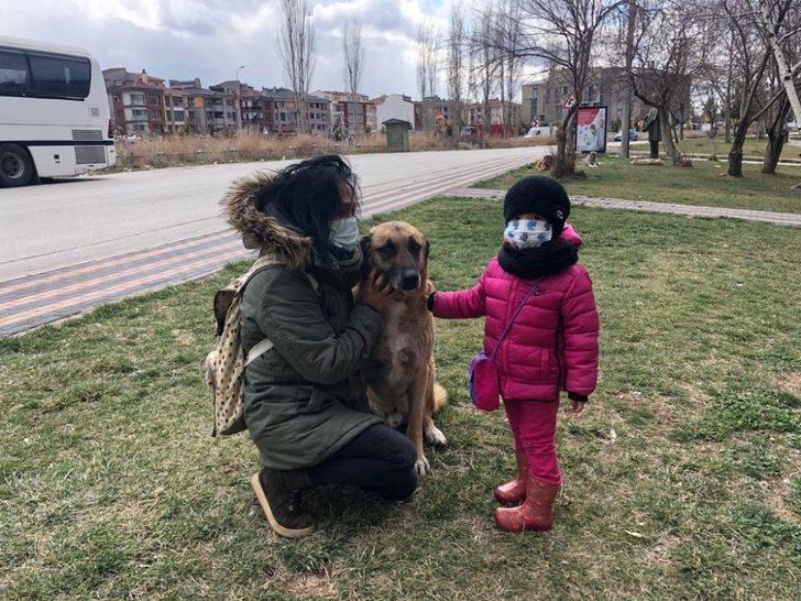Nasreddin Hoca Parkı’na sokak hayvanları için yeni kulübeler yerleştirildi G2