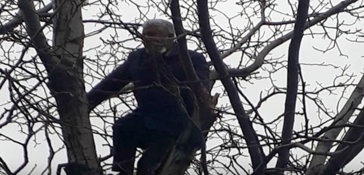 Arı kovanları ve ormanları yaktığı gerek&ccedil;esiyle ceza gelen vatandaş, intihar i&ccedil;in ağaca &ccedil;ıktı