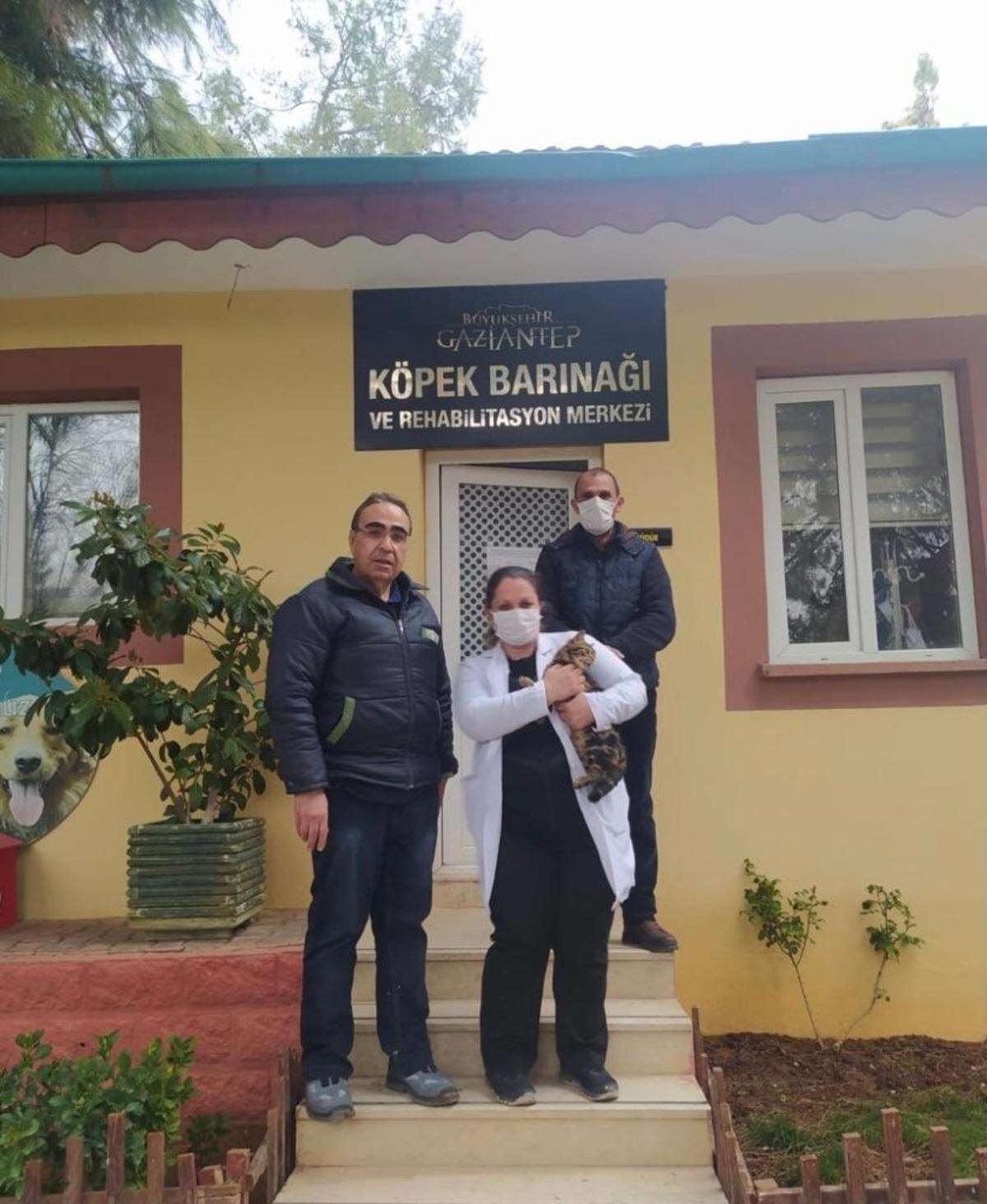 Sopayla eziyet edilen kediye Gaziantep Hayvan Bah&ccedil;esi sahip &ccedil;ıktı