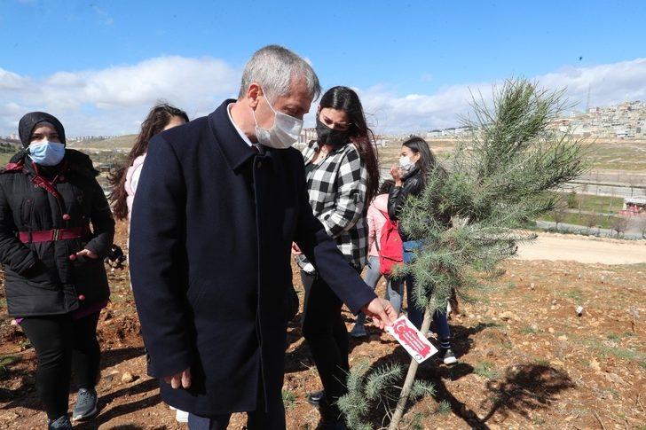 Şehitlerin ismi Şahinbey’de fidanlarda yaşayacak G2