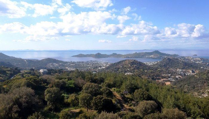 Türkiye'nin en pahalı mahallesinde imar durduruldu, milyon dolarlık projeler askıya alındı