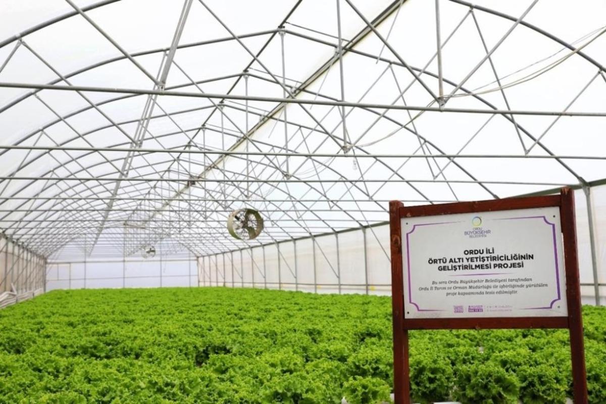 Ordu&rsquo;da kışlık sebzeler y&uuml;z g&uuml;ld&uuml;rd&uuml;