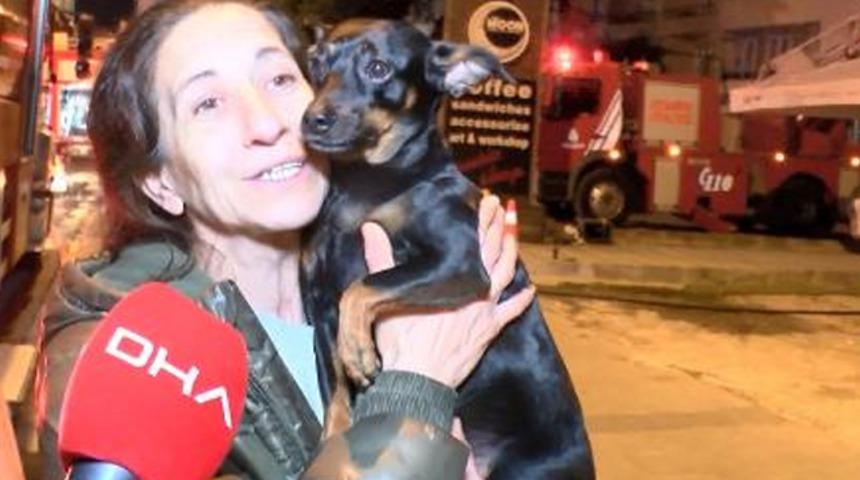 Yer: İstanbul! Kahraman köpek, sahibini ölümden kurtardı
