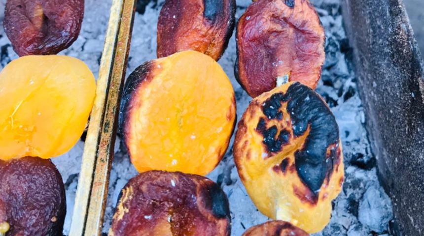 Hamsinin pilavı, kızartması, turşusu var' deyip kayısıdan kebap yaptılar